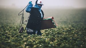 Photography, Clothing, Glove Qatari origin urea will be supplied to the agricultural sectors of the US and other international markets