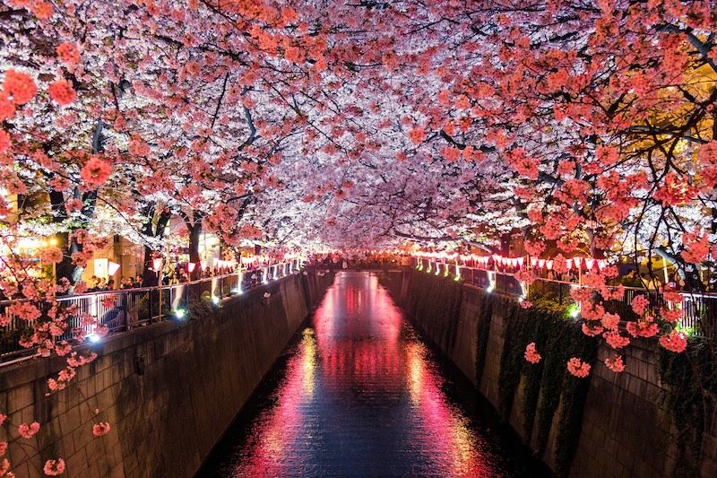 QIA is looking to invest in Japan's real estate, manufacturing and semiconductor sectors