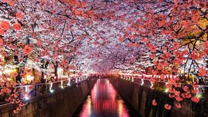 QIA is looking to invest in Japan's real estate, manufacturing and semiconductor sectors