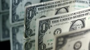 Money, Dollar, Adult
