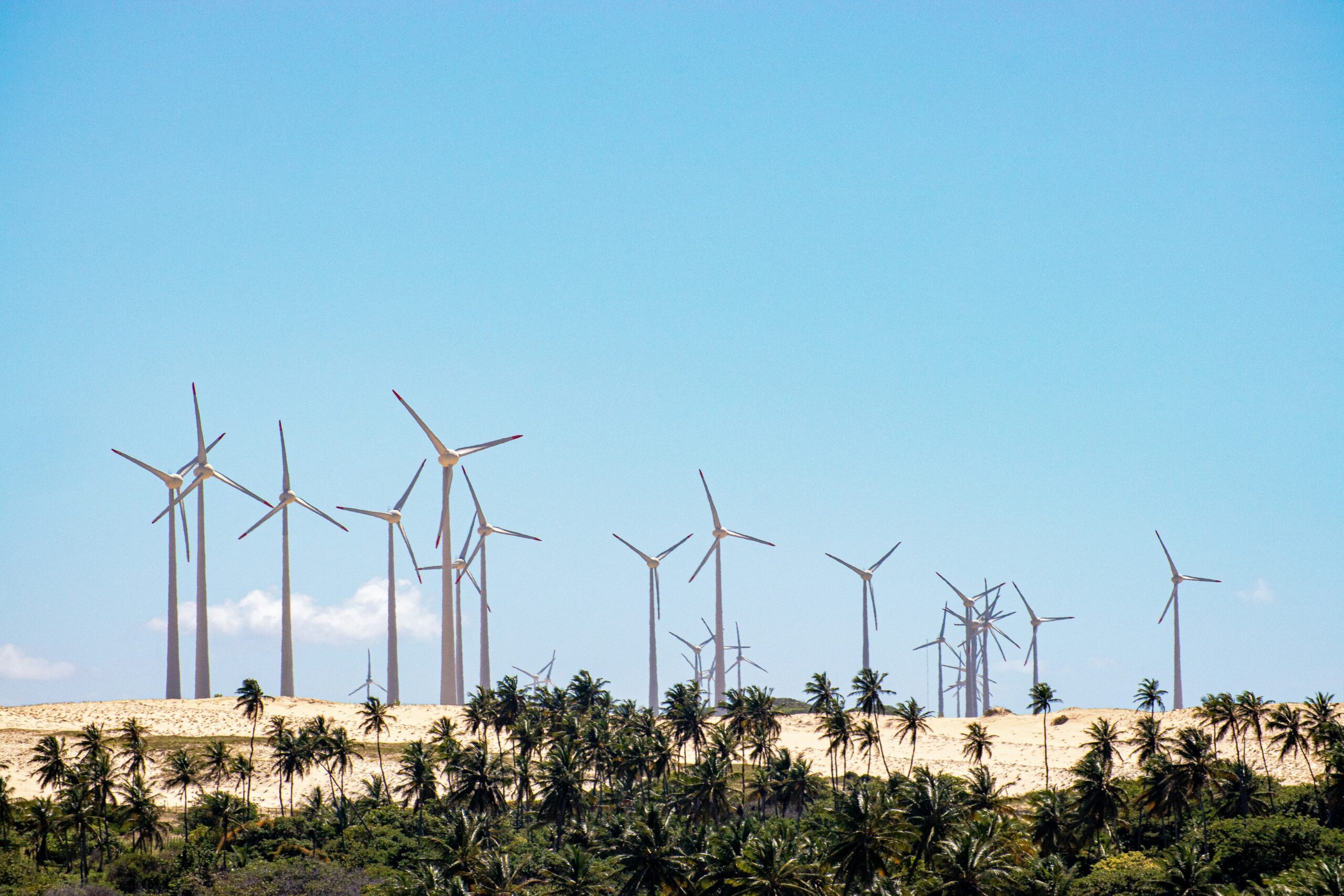 A wind farm in Beberibe municipality. The Saudi PIF will invest in a range of sectors in Brazil, including renewable energy