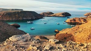 Oman could become the Middle East's largest hydrogen exporter by 2030