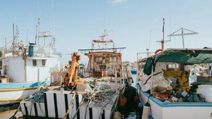 Saudi fishing trawlers