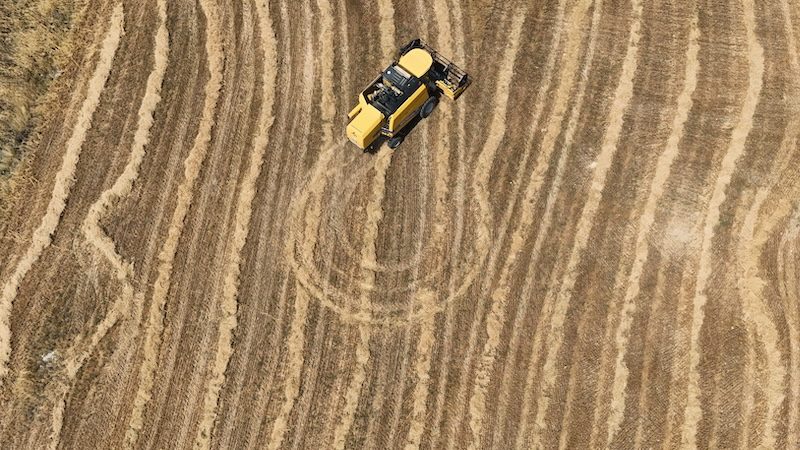 A farmer harvests grain in Haymana, near Ankara. Agriculture contributed 9.5% of Turkey's GDP 20 years ago but that was down to 6% in 2023