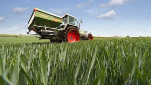 Agriculture, Countryside, Field