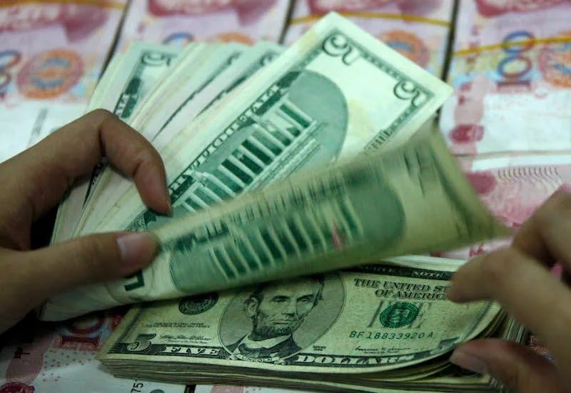 Money, Adult, Male