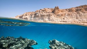 A coral reef off Yabou' Island, part of Neom, which is one of the giga projects being developed by PIF
