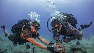 Repairing vital undersea cables vital for the internet super corridors can take months