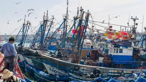 Stormy waters as fishing and farming deals between Morocco and the EU are declared invalid