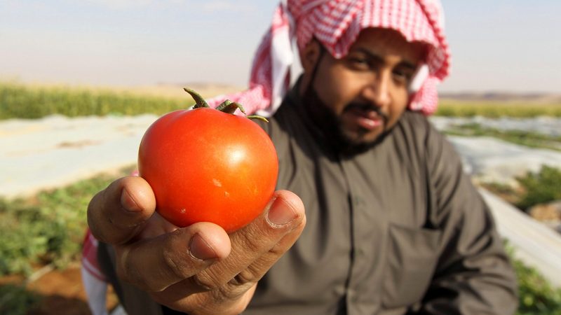 A farmer in Al-Kharj, Saudi Arabia. The agriculture sector was worth $29bn in 2023
