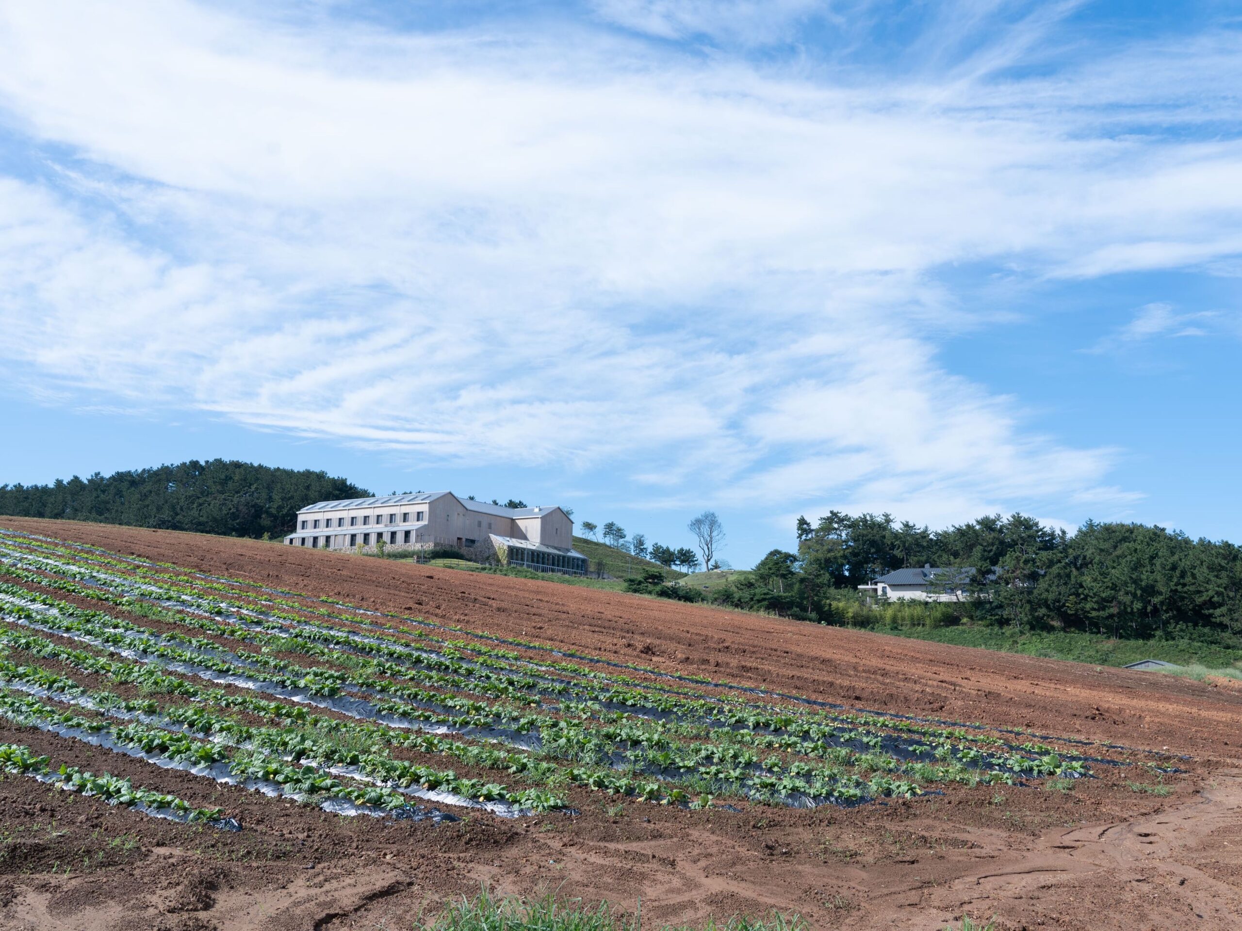 UAE food exports farmland