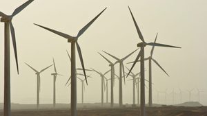 A wind farm in the Sinai Peninsula, Egypt. Some identified localisation sectors include renewable energy components for batteries and wind power