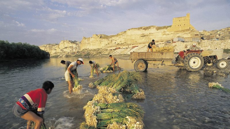 Farmers in Birecik wash their garlic harvest in the Euphrates. The regions close to the Syrian border have traditionally been the poorest in Turkey