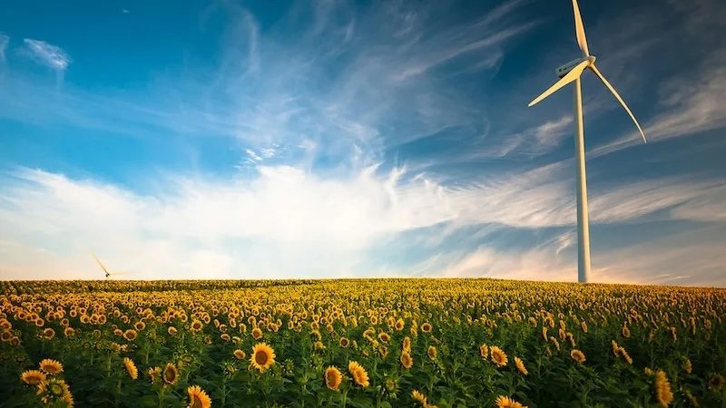 Horizon, Nature, Outdoors