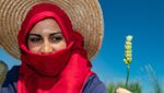 A field technician working on a durum wheat breeding project. Jabal, a new drought-resistant variety of durum wheat, is an opportunity for Syrian farmers farming