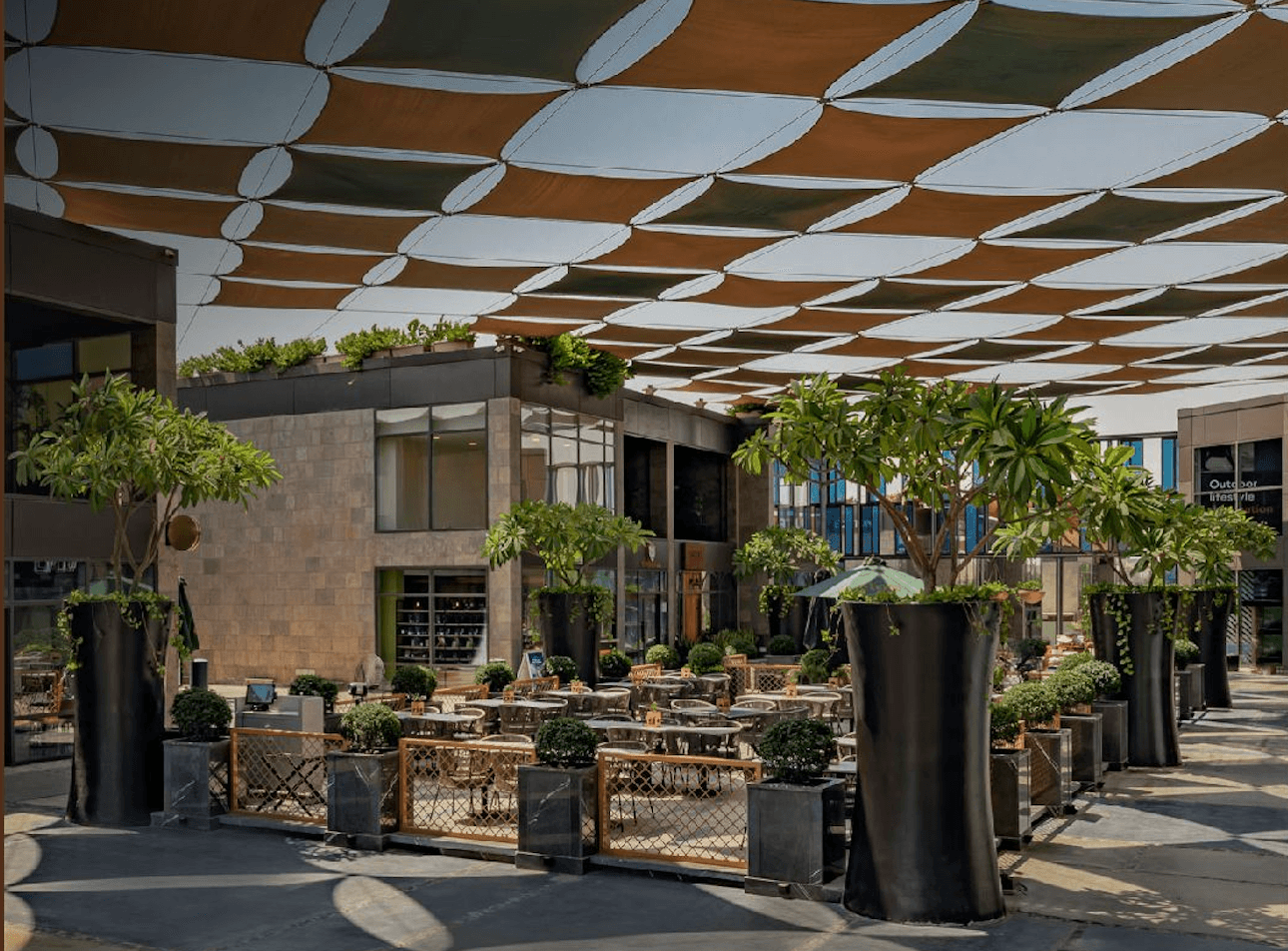 Plant, Potted Plant, Architecture