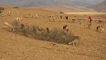 Rainfall in December was down 60 percent and if dry conditions persist, GDP growth could suffer