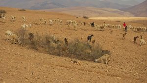 Rainfall in December was down 60 percent and if dry conditions persist, GDP growth could suffer