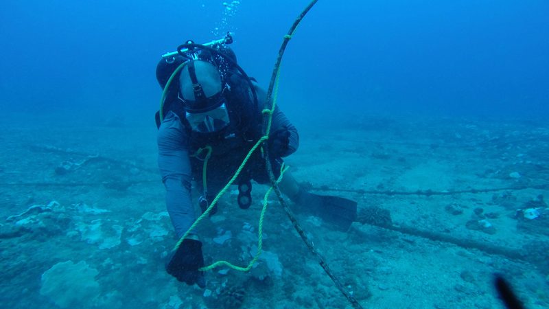 Subsea cables get damaged 'all the time' but Red Sea disruptions made repairs challenging
