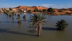 Sand dunes under water in Merzouga, Morocco. Increased output on both irrigated and non-irrigated land will help improve Morocco's import bill