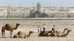 The Awali oilfields in Bahrain. The government is pushing for the original site to gain Unesco recognition.