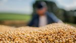 A soybean farm in Brazil. Brazil's Agribrasil traded in 1.858 million tonnes of soybeans and corn in the first nine months of 2024