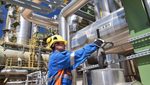 workers in an industrial plant for the production and processing of crude oil