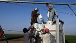 Workers carry fertiliser bags to be mixed with water at a farm in Sharjah: the World Bank’s fertiliser price index has rebounded to 124 from a three-year low last May of 108