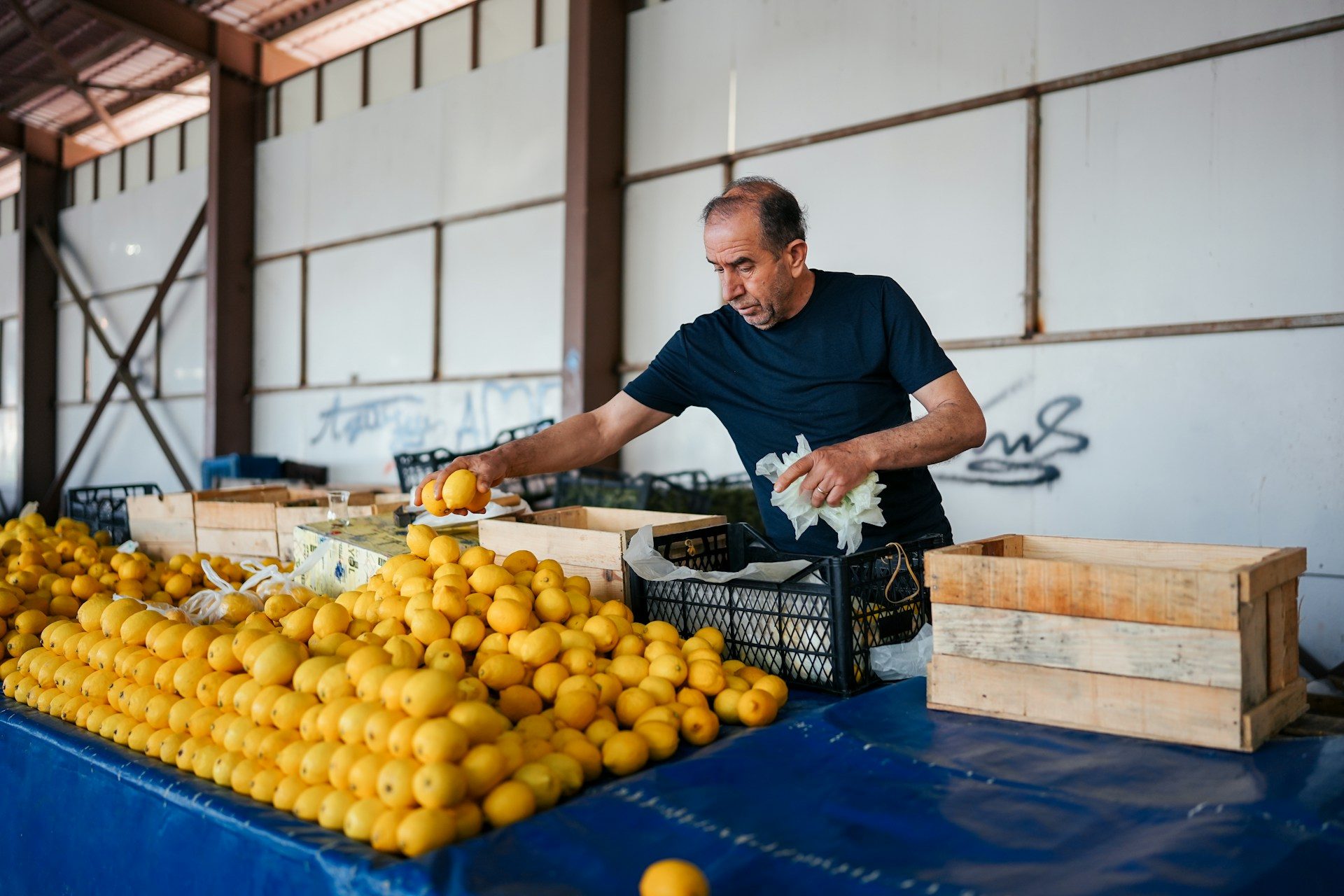 Farmers in Turkey have reduced their expected citrus output following a bitter cold snap