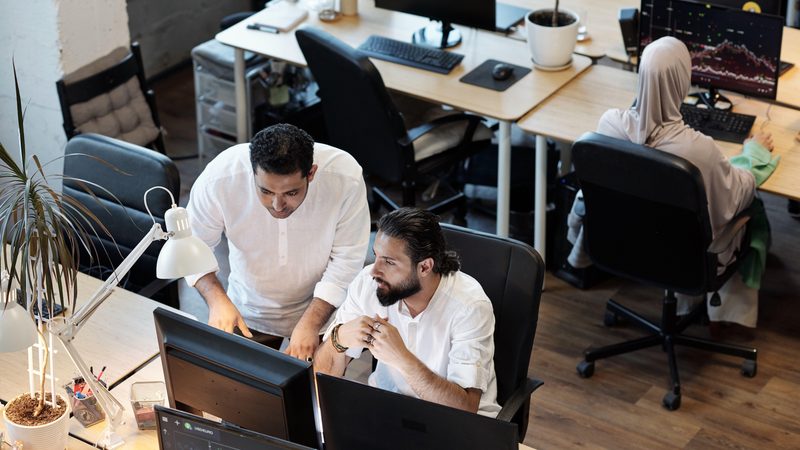 Tax authorities can use AI to take on routine tasks while staff focus on more complex investigations, according to the IMF
