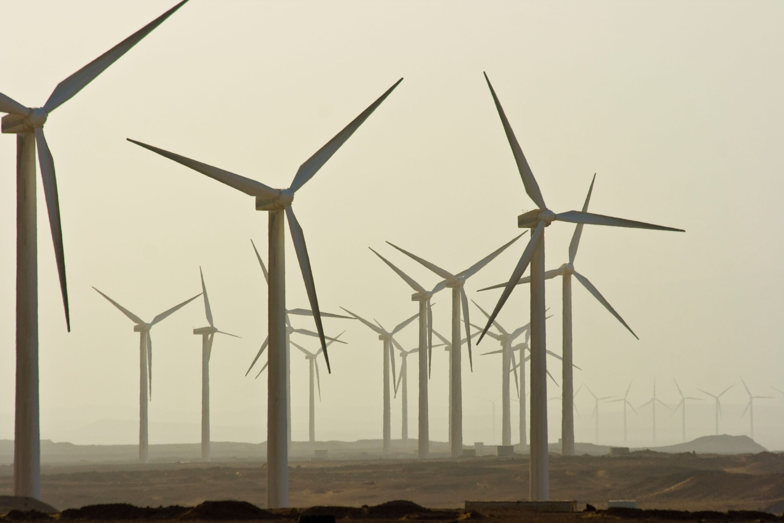 Wind turbines in the Sinai Peninsula, Egypt. Solar, wind and hydropower make up only 11.5% of Egypt's electricity generation