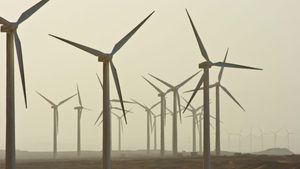 Wind turbines in the Sinai Peninsula, Egypt. Solar, wind and hydropower make up only 11.5% of Egypt's electricity generation