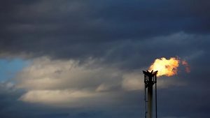 Saudi Arabia crude: Wood Mackenzie expects Saudi Arabia to consume 465,000 to 470,000 bpd of crude for power generation this year
