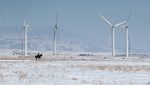 Wind turbines in the Almaty region, Kazakhstan. With help from Saudi company Acwa Power, the country is reducing the amount of fossil fuels in its energy mix