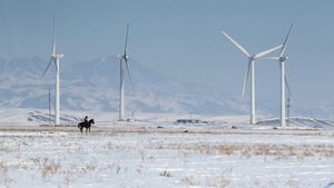 Wind turbines in the Almaty region, Kazakhstan. With help from Saudi company Acwa Power, the country is reducing the amount of fossil fuels in its energy mix