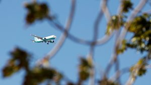 Animal, Bird, Flying