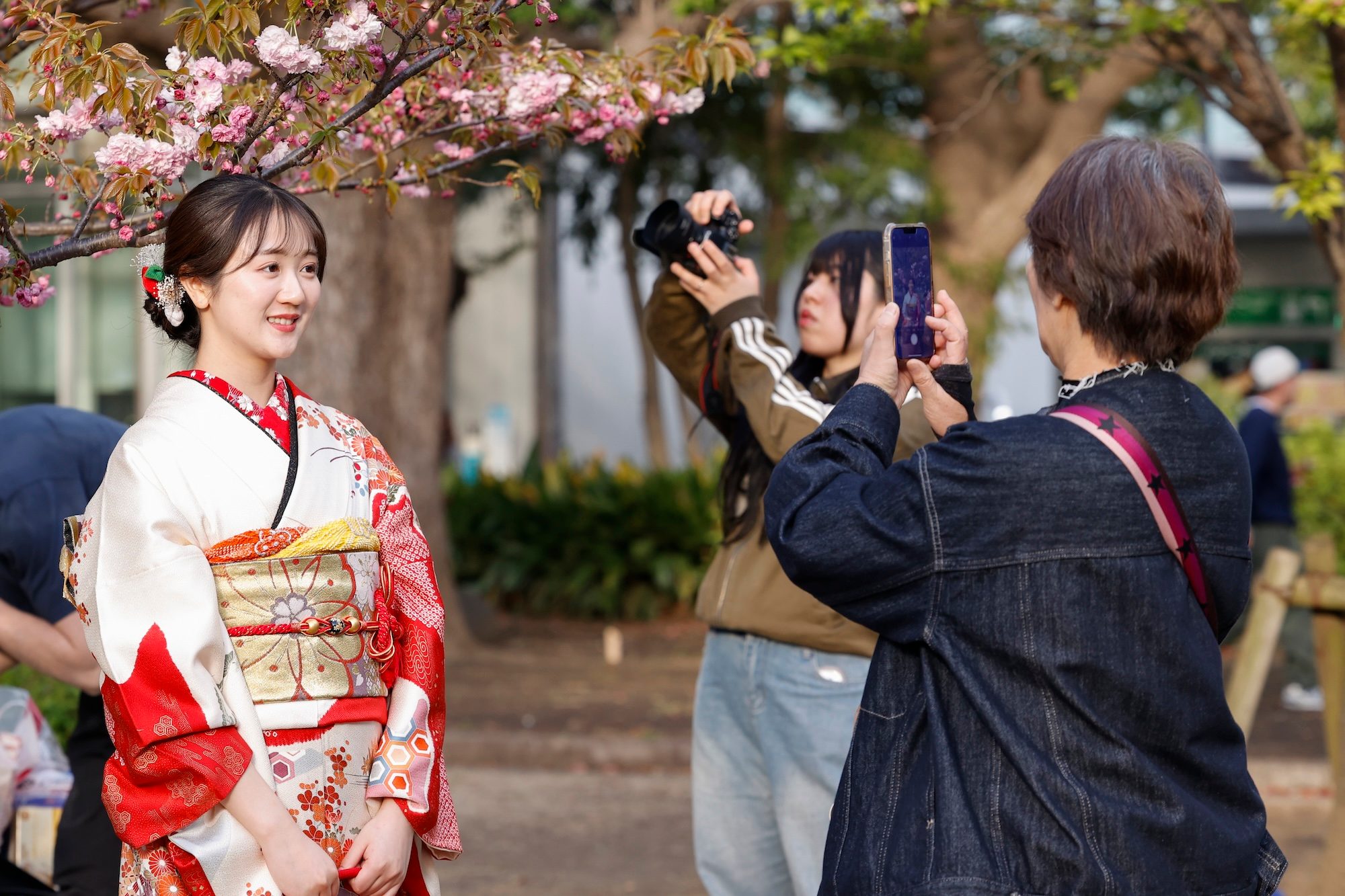 April 6, 2025, Tokyo, Japan: A woman wearing Japanese kimono poses for a pictures under the cherry blossoms in full bloom at Ueno Park in Tokyo. Cherry blossoms in full bloom at Tokyo's Ueno Park attract large crowds on a sunny Saturday. Around 800 trees, including the peak-blooming Somei Yoshino variety, create a stunning spring spectacle. (Credit Image: © Rodrigo Reyes Marin/ZUMA Press Wire)