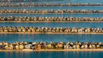 Villas on Palm Jumeirah. Dubai Residential REIT shares rose 15% during the first day of trading