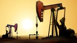 A member of the OPEC+ group, Iraq faces challenges with underproduction and quota violations. New strategies, including investing in Asian refineries, aim to maximize oil revenues