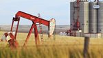 An oil pump jack in Saskatchewan, Canada. Opec expects output from non-members to reduce