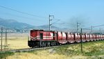 A freight train in rural Turkey. The Middle Corridor connecting with China is presently underused