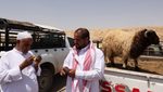 A customer pays for a sheep at a livestock market in Riyadh. Prices jumped by more than SAR2,000 ($533) during Eid Al-Adha, according to a media report