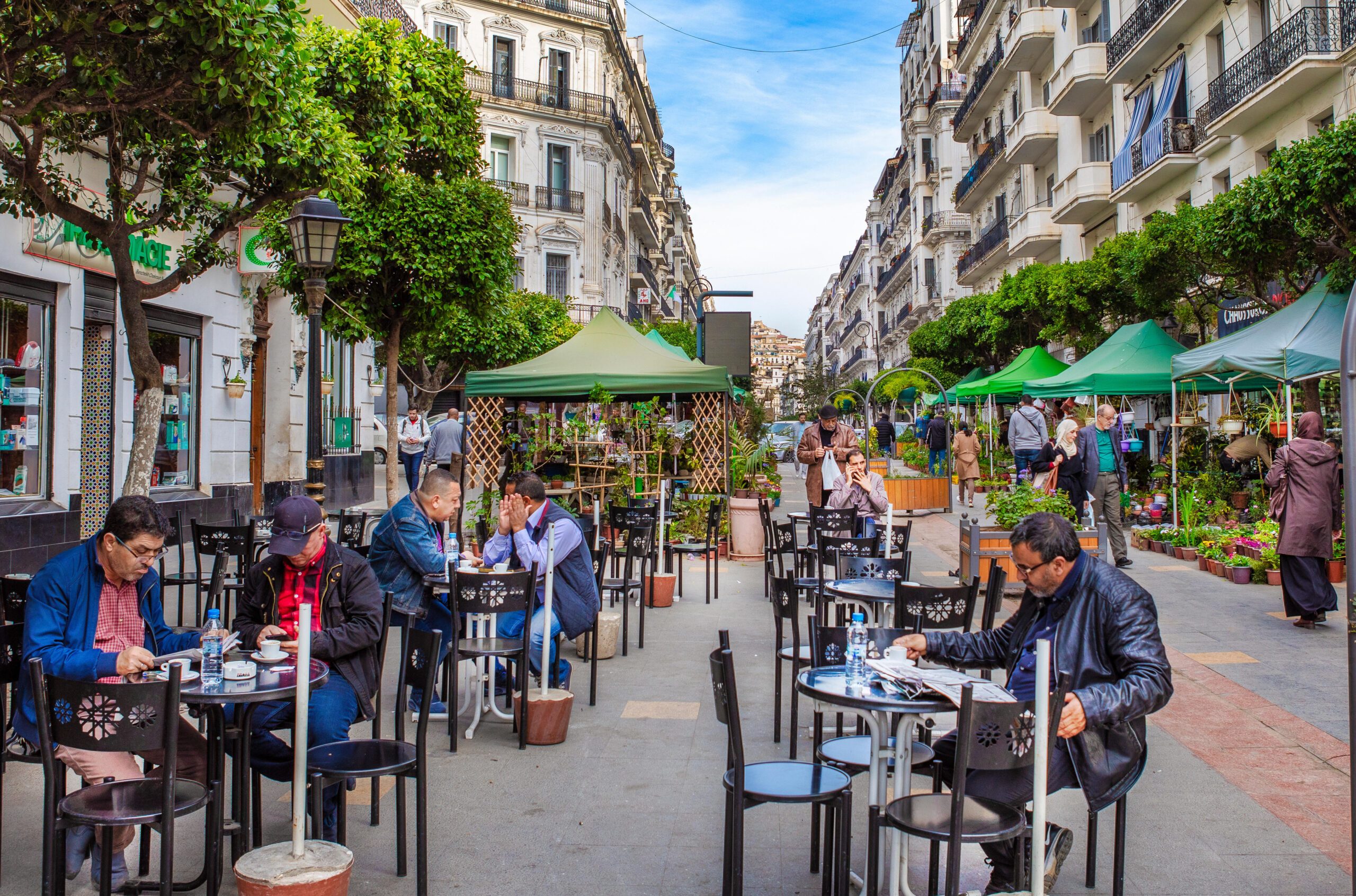 Etihad passenger and destination numbers are on the up: Algiers is one of 12 new destinations that Etihad has started flying to since May 2024. Others include Chiang Mai, Hanoi, Phnom Penh, Taipei and Tunis