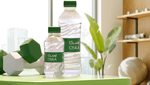 Bottle, Water Bottle, Plant